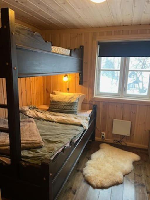 Hytte Gaustablikk Holiday home *