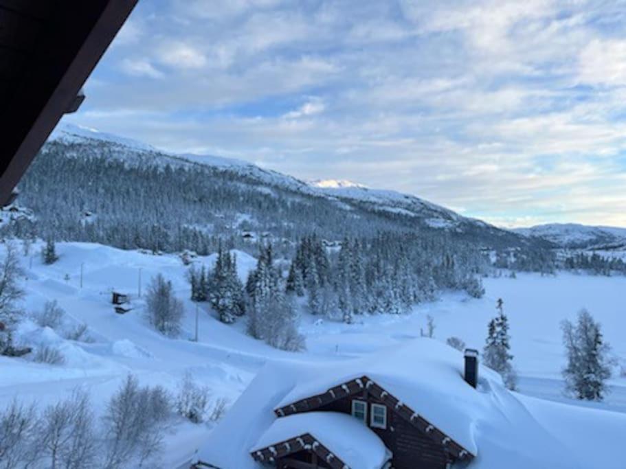 Hytte Gaustablikk *