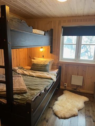 Hytte Gaustablikk Holiday home *