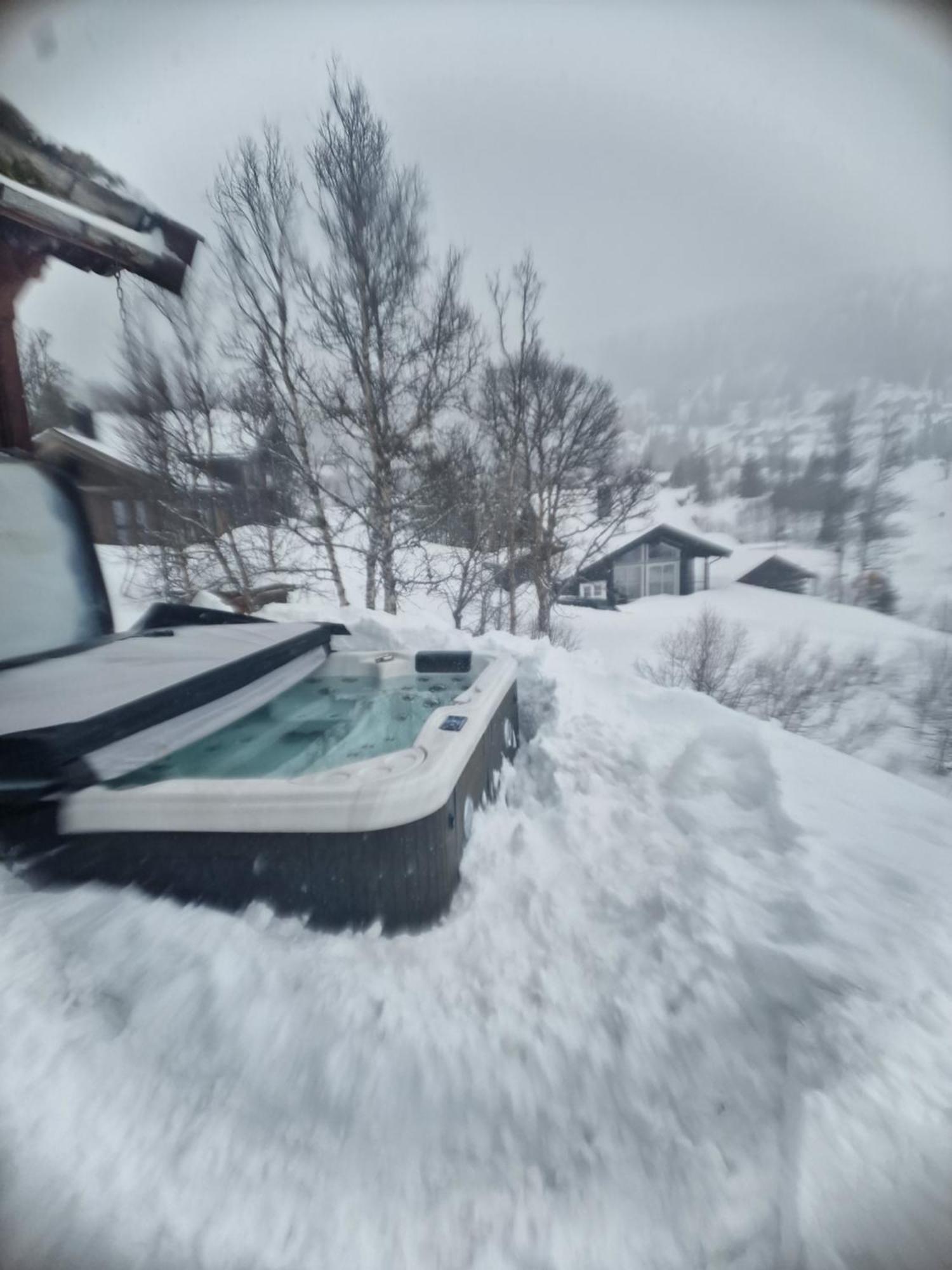 Hytte Gaustablikk Holiday home